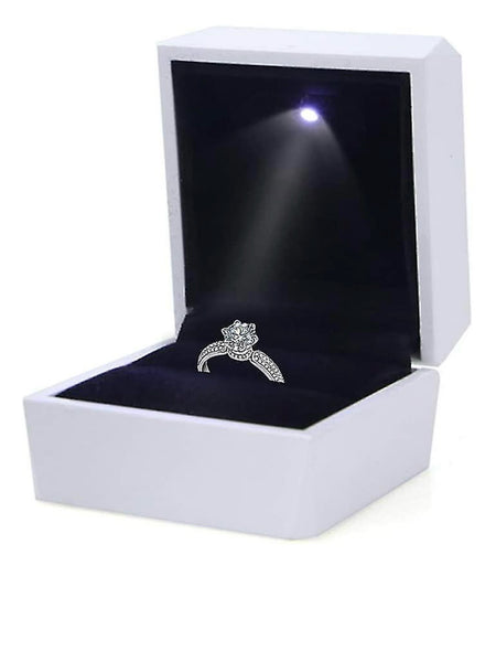 Ringask vit med belysning LED (ringbox)