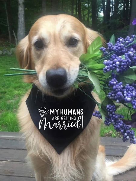 Hundscarf My humans are getting married svart (bandana)