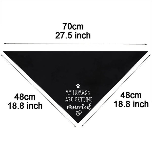 Hundscarf Best dog vit (bandana)