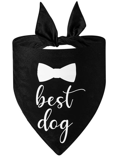 Hundscarf Best dog svart (bandana)