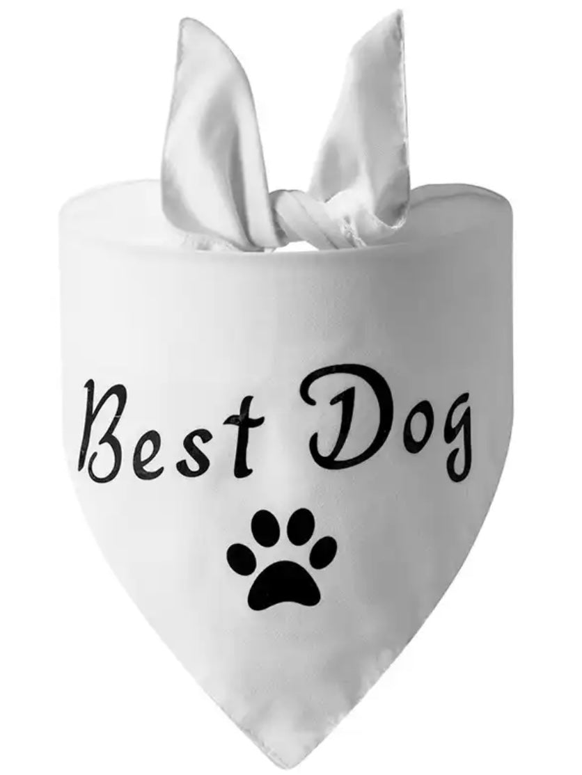 Hundscarf Best dog vit (bandana)