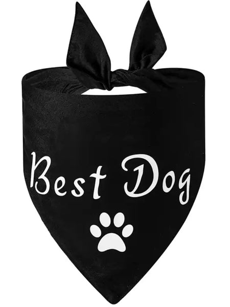 Hundscarf Best dog svart (bandana)